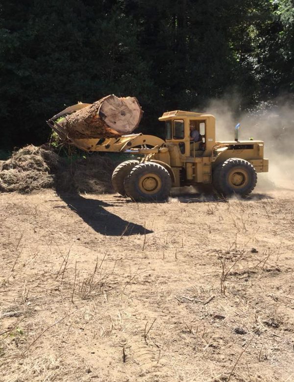 Strode Engineering can assist with your logging transportation needs.